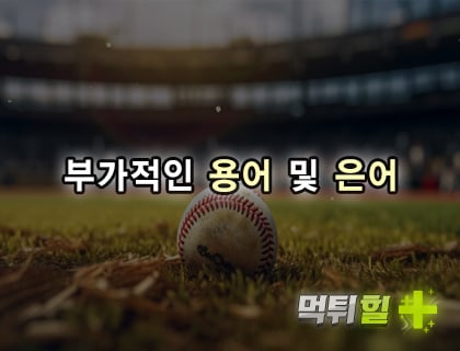 부가적인 용어 및 은어