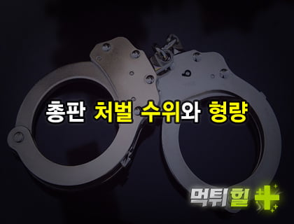 총판 처벌 수위와 형량