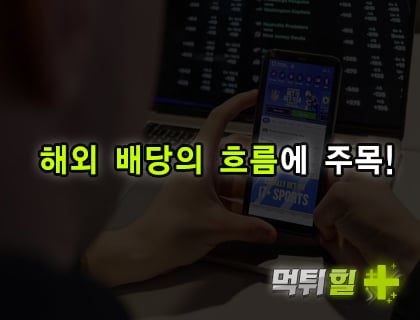 해외 배당의 흐름에 주목!