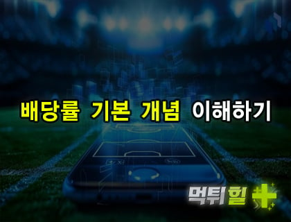 배당률 기본 개념 이해하기