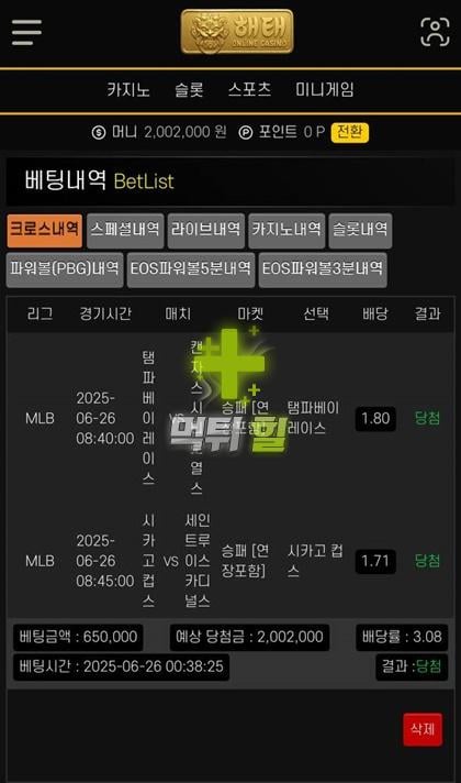 해태 먹튀 피해 증거자료(배팅 내역)