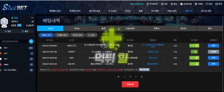 샷벳 먹튀 피해 증거자료(배팅 내역)